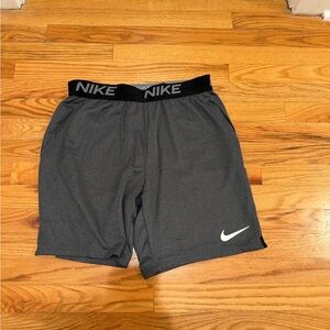 Nike Dri-FIT Light Gray Shorts
